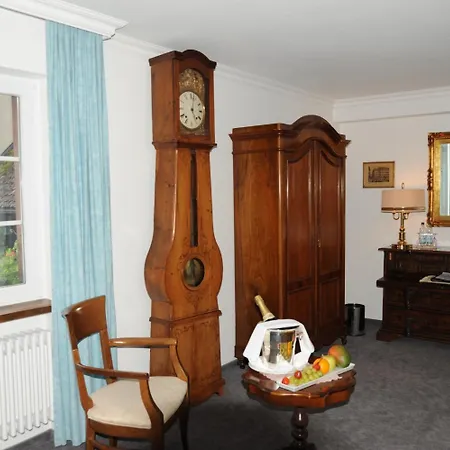 Adler - / Basel Hotel