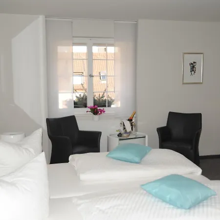 Adler - / Basel 3* Weil am Rhein