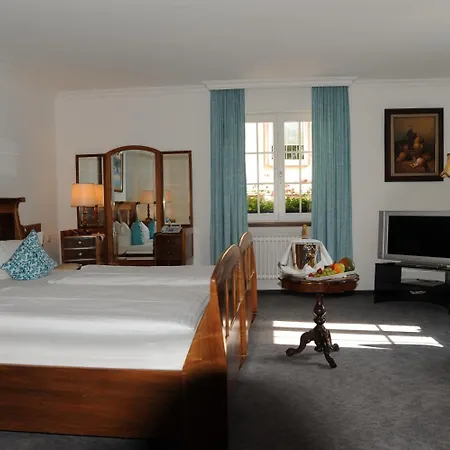 Hotel Adler - / Basel