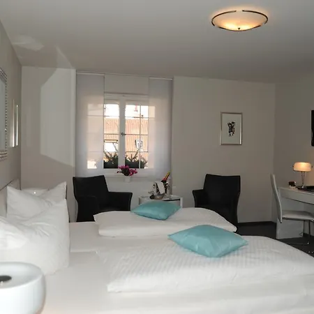 Hotel Adler - 3*